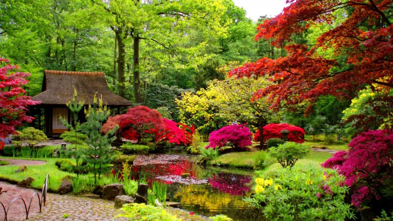 Пейзажный сад Японии
