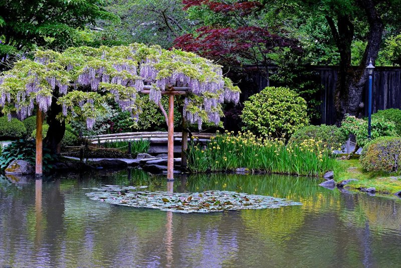 Риджентс-парк японский сад