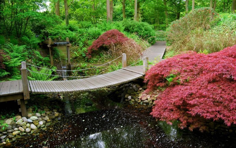 Садово-Парковое искусство Японии сад мхов