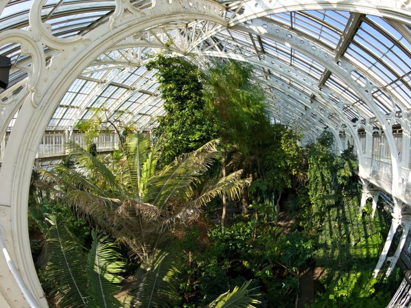 Стеклянная оранжерея ботанического сада им Цицина