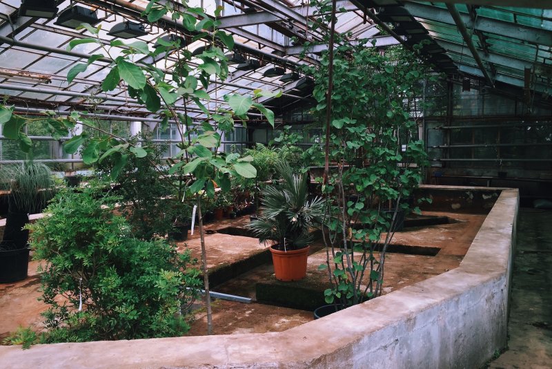 РУДН Ботанический сад