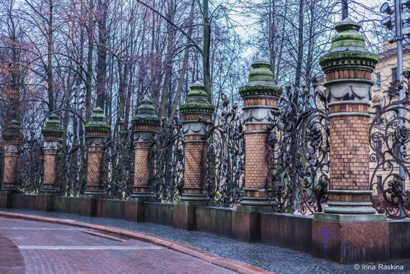 Михайловский сад Питер зимой