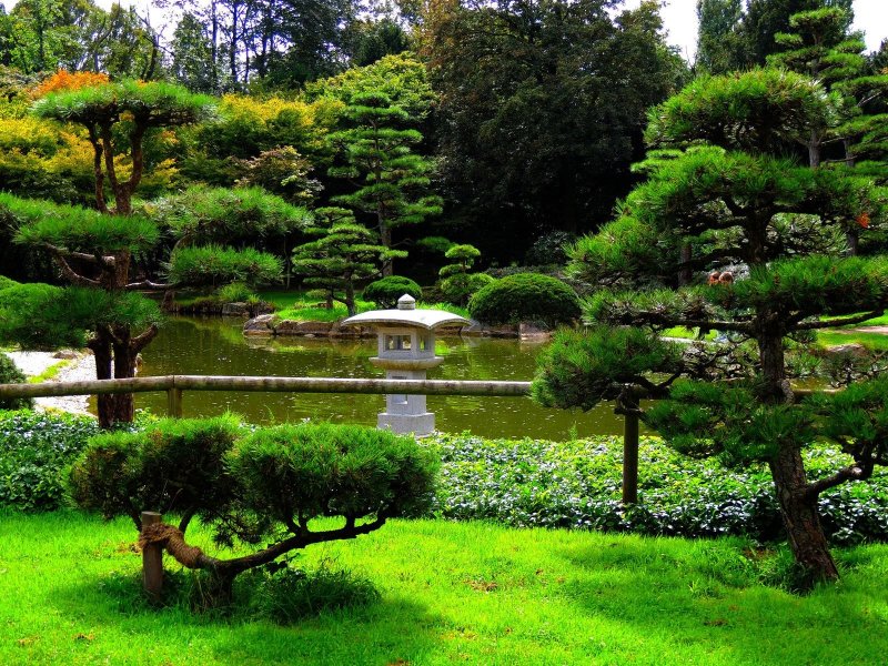 Сады ниваки Япония