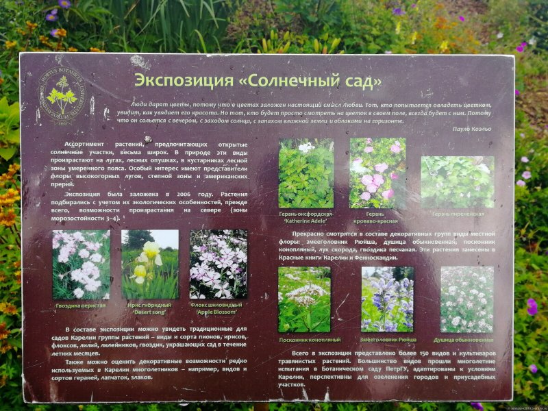 Ботанический сад Нальчик Долинск