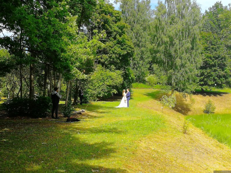 Ботанический сад Новокузнецк
