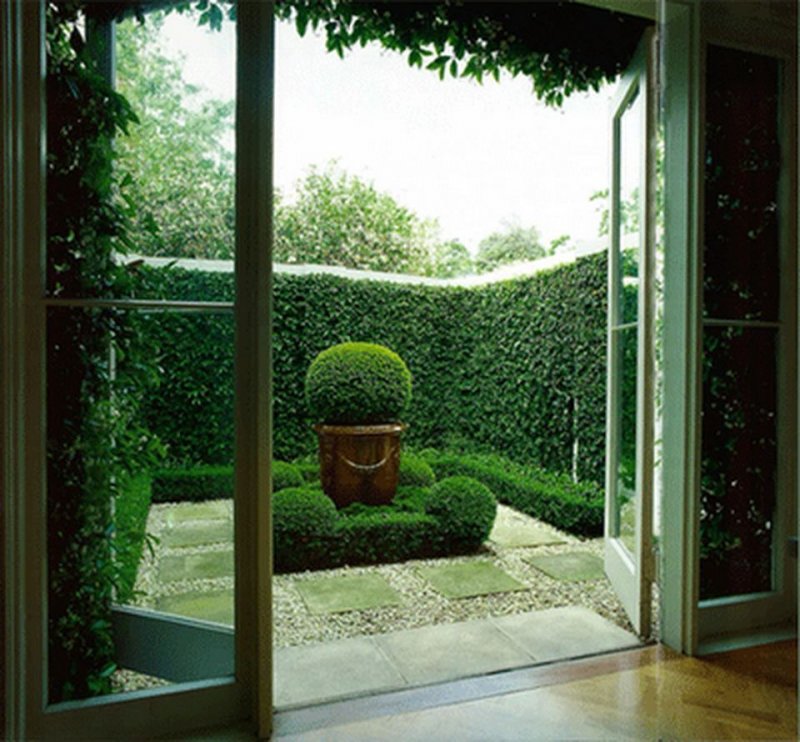 Зеленые комнаты в ландшафтном дизайне
