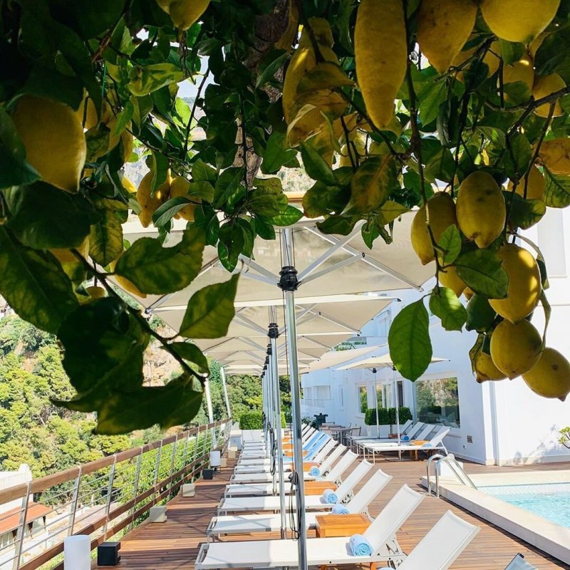 Лимонные деревья в Италии