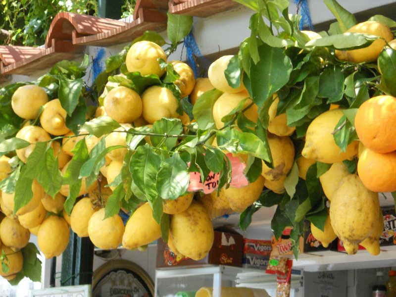 Сорренто лимоны