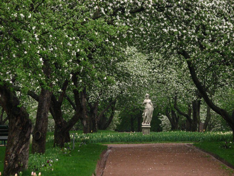 Дьяковский сад Коломенское
