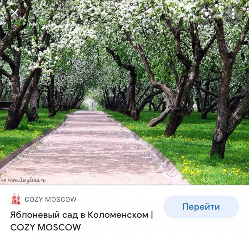 Яблоневый сад в Коломенском осенью