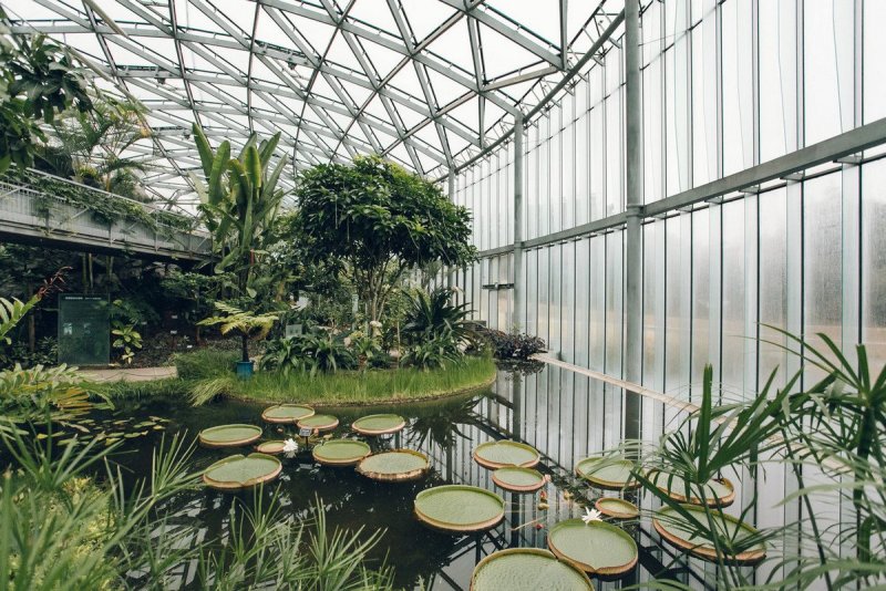 Botanical Gardens (Hortus Botanicus), Лейден - TRIPADVISOR