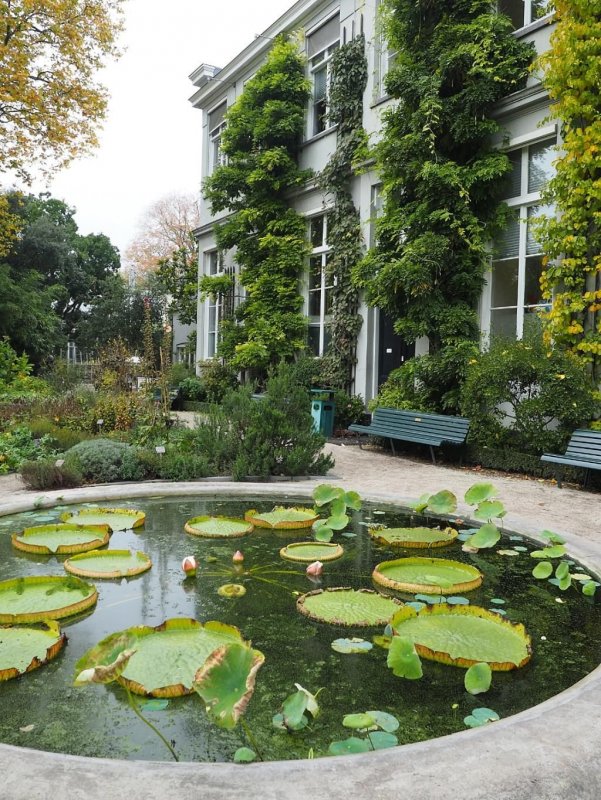 Botanic Garden Cambridge