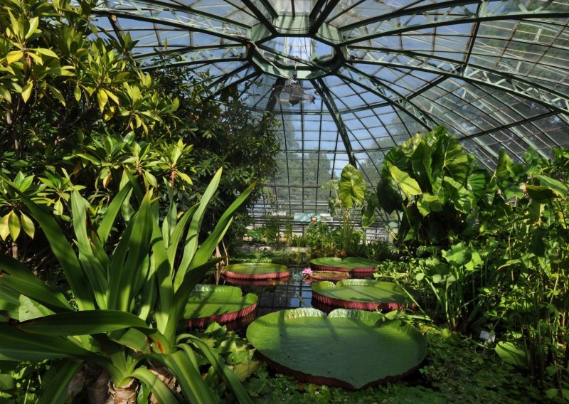Ботанический сад Базельского университета