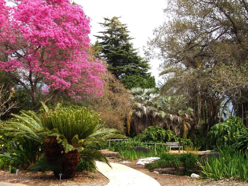 Лос Анджелес Ботанический сад
