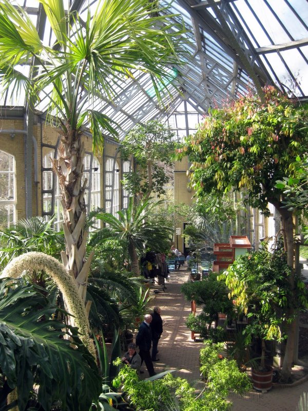 Ботанический сад Амстердам