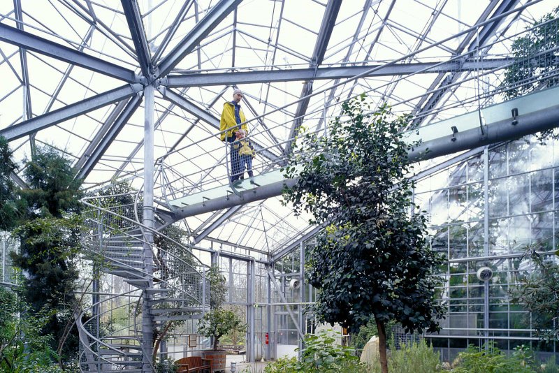 Оранжерея в Ботаническом саду в Лейдене (Hortus Botanicus Leiden)