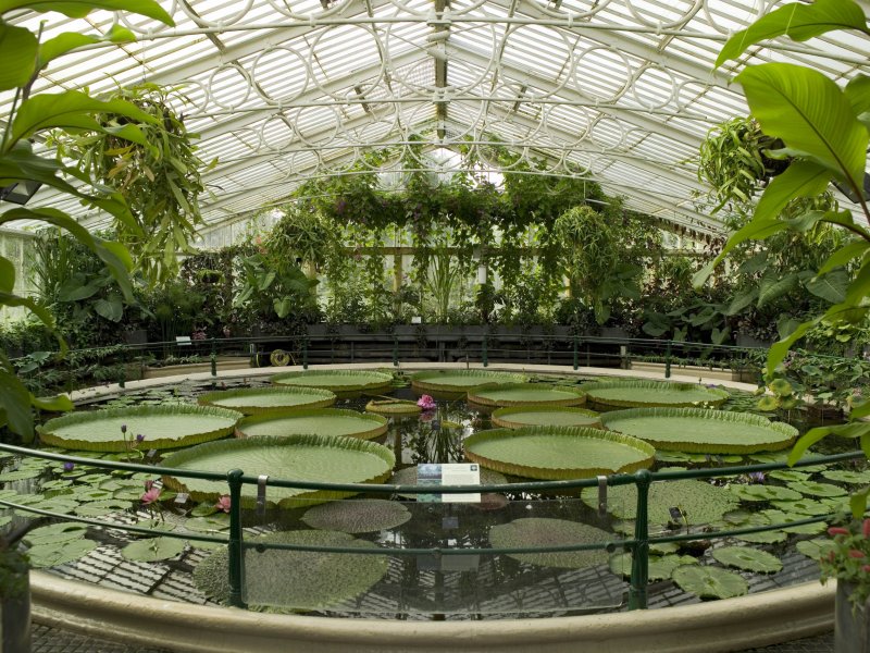 Королевский Ботанический сад Кью оранжерея