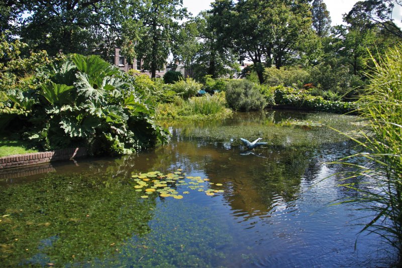 Ботанический сад Кембриджа