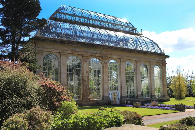 Оранжерейный сад дворец Версаль