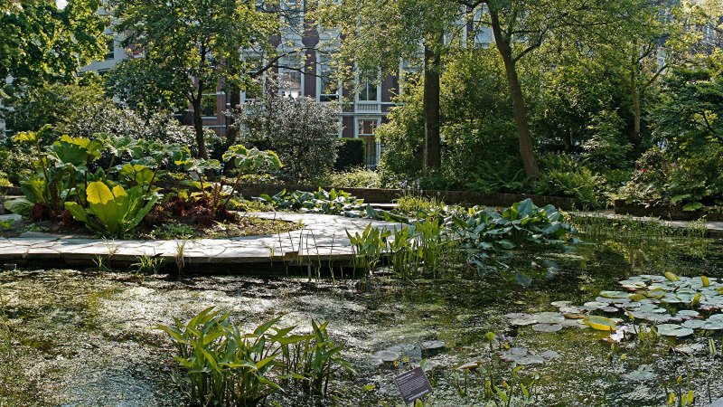 Hortus Botanicus Амстердам