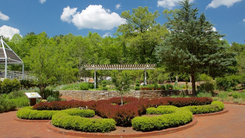 Ботанический сад Хардин-ботанико