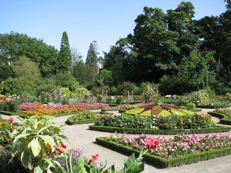 Парк Ботанический сад Москва