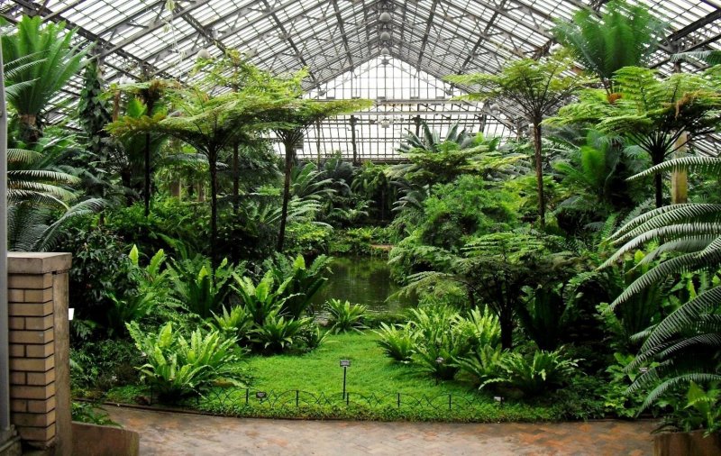 Г. йена Ботанический сад