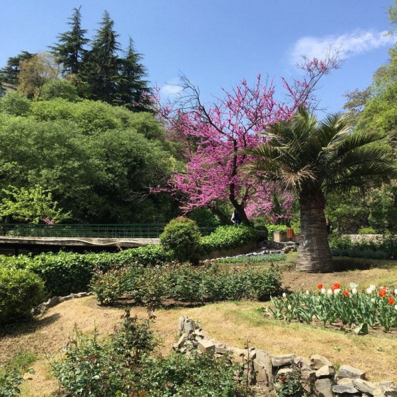 Botanischer Garten — Ботанический сад Берн
