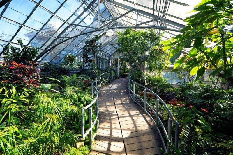 Амстердамский Ботанический сад