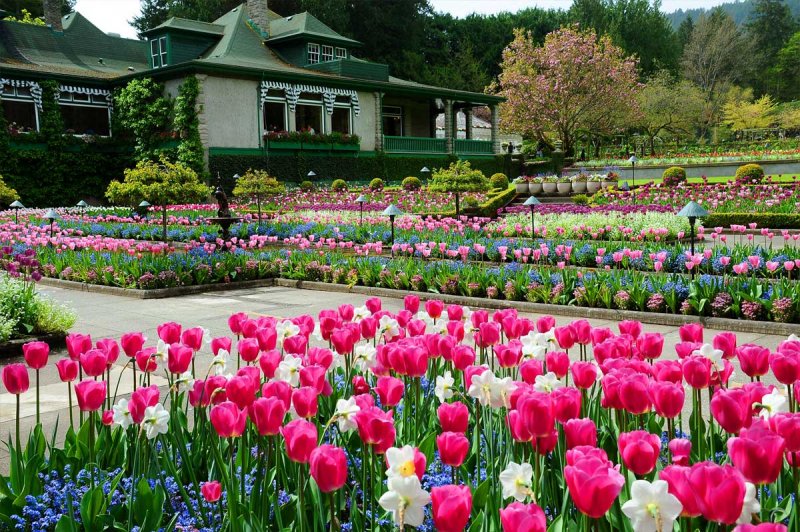 Цветочные сады Бутчартов, Канада