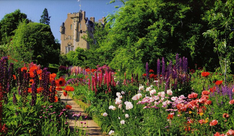 Garden in the Castle