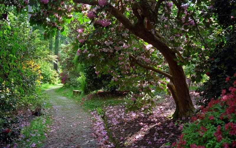Сады в Леонардсли, Великобритания