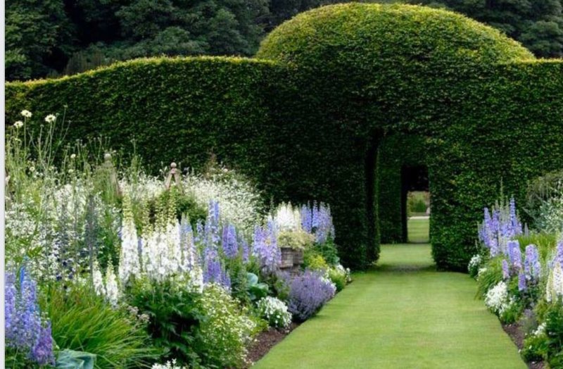 Сады Уизли в Англии