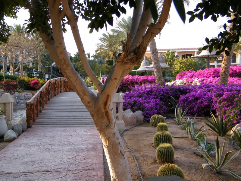 Aaru Garden Египет