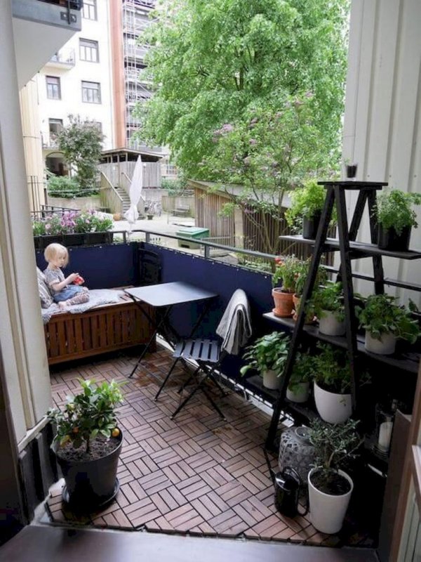 Зимний сад на балконе в квартире