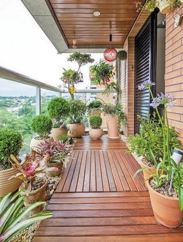 Сад оранжерея на балконе