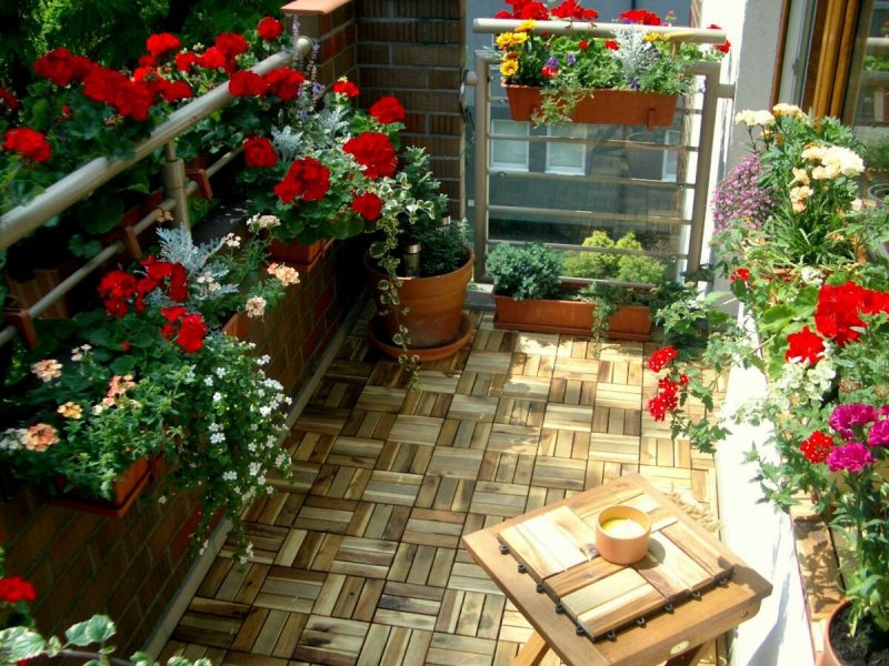 Ботанический сад на балконе