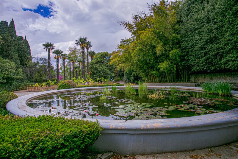 Ботанический сад Айвазовского в Крыму