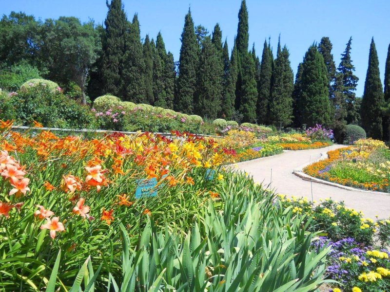 Никитский Ботанический сад арка