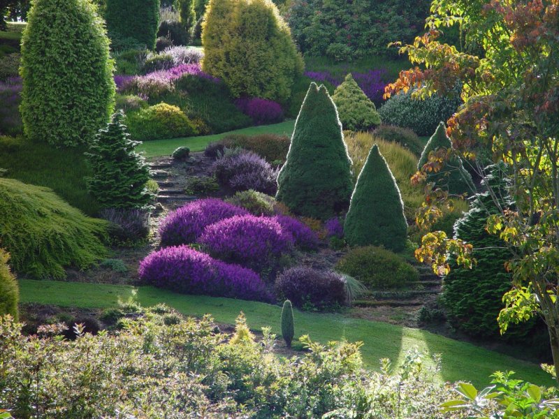 Сад Maple Glen Garden, новая Зеландия
