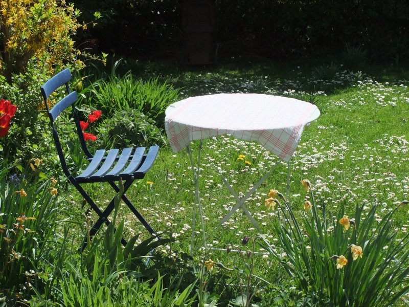 Поверхность стола в саду