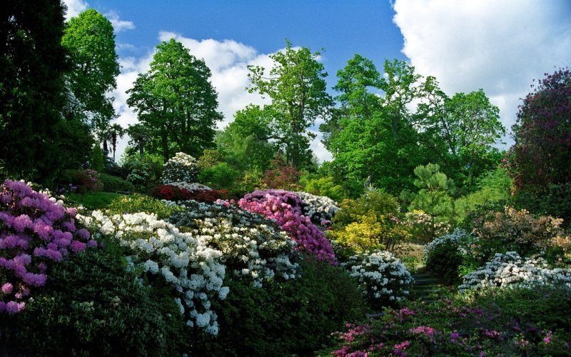 Дендрологические парки и Ботанические сады России