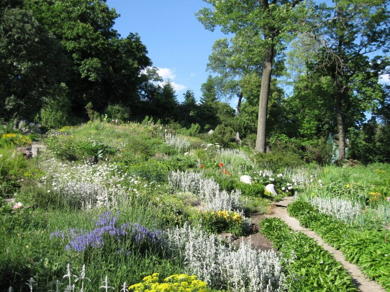 Сад непрерывного цветения Ботанический сад Цицина