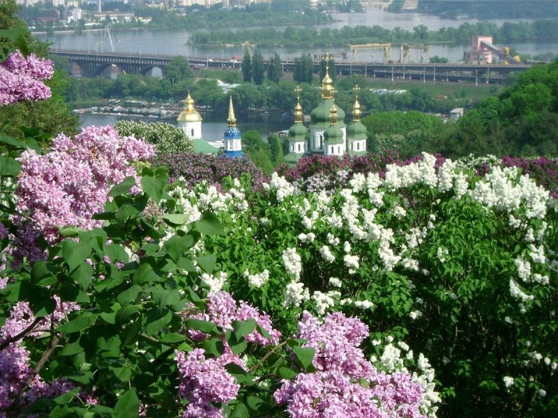 Ботсад Киев