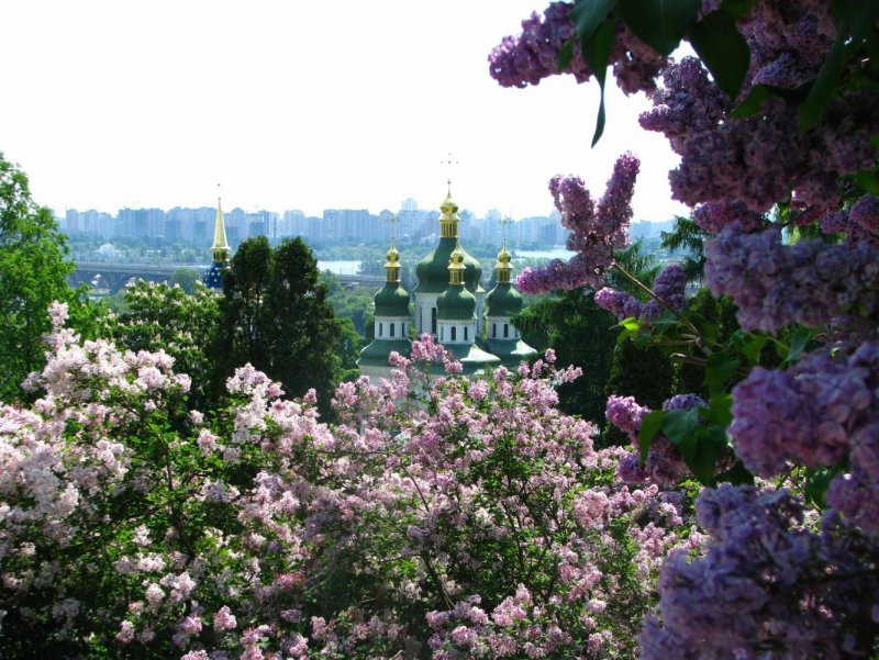 Ботанический сад Киев 2022