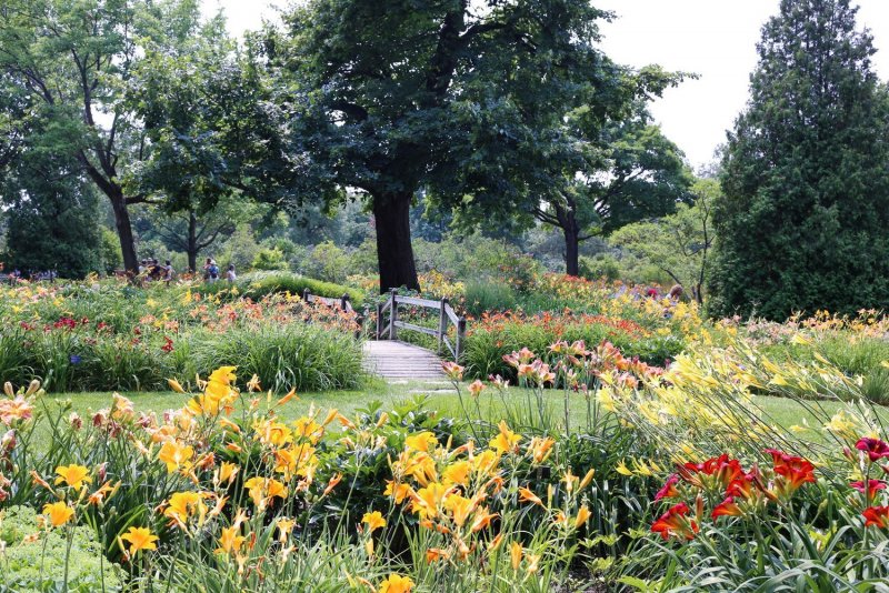 Киев Ботанический сад имени Гришко тюльпаны