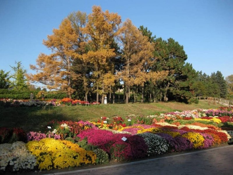 Киев Ботанический сад имени Гришко