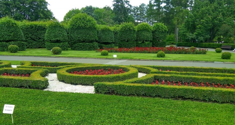 Ботанический сад имени Фомина в Киеве