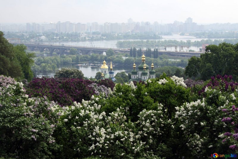 Национальный Ботанический сад имени н. н. Гришко нан Украины