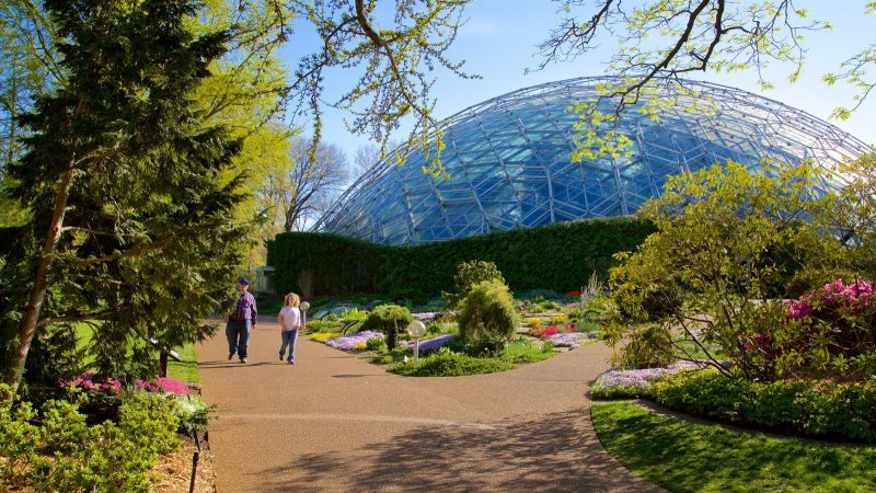 Ботанический сад Фомина Киев